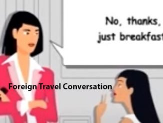 foreign travel conversation