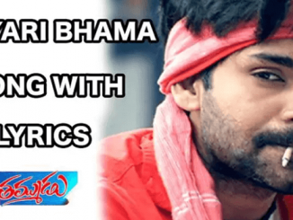 Vayyari Bhama Song Lyrics in Telugu, English, Thammudu Movie