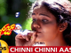 Chinni Chinni Aasa Song Lyrics In Telugu, Roja Movie