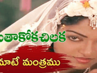 Maate Mantramu Song Lyrics English Telugu Seethakoka Chiluka