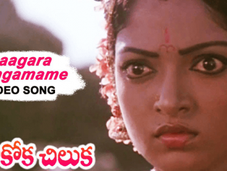 Saagara Sangamame Song Lyrics in Telugu, English, Seethakoka Chilika