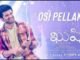 Osi Pellama Song Lyrics Telugu and English Kushi Telugu Movie